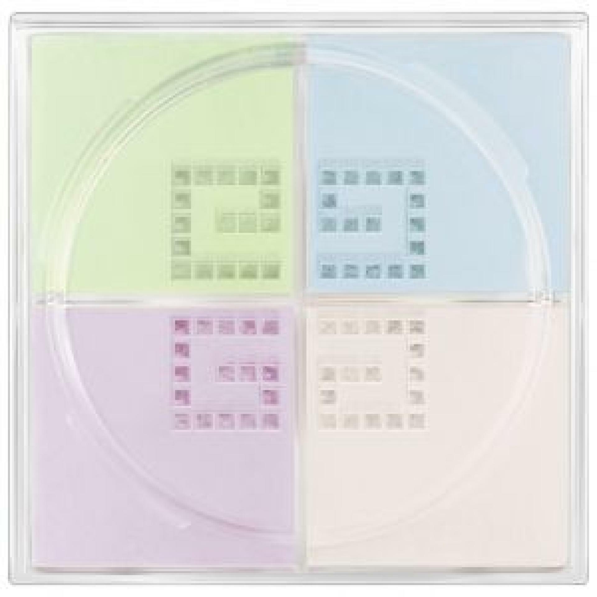 《專櫃預訂》GIVENCHY 高級訂製稜鏡四色蜜粉