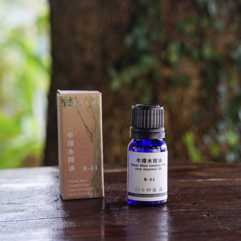 牛樟木精油｜台灣特有精油