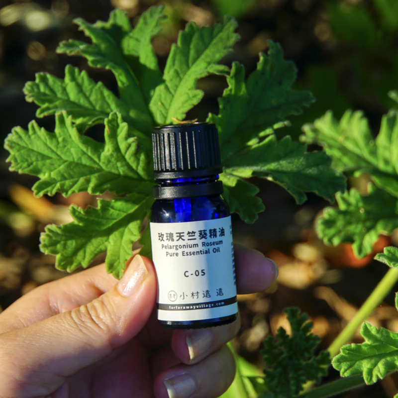 玫瑰天竺葵精油