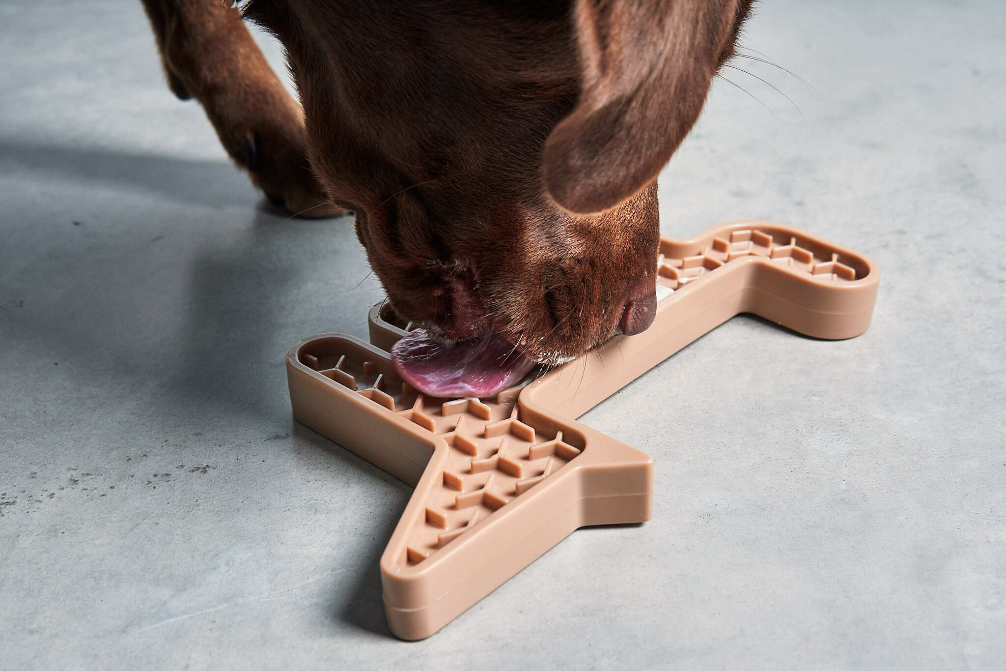 德國MiaCara｜Volpe雙面慢食器（狐狸）