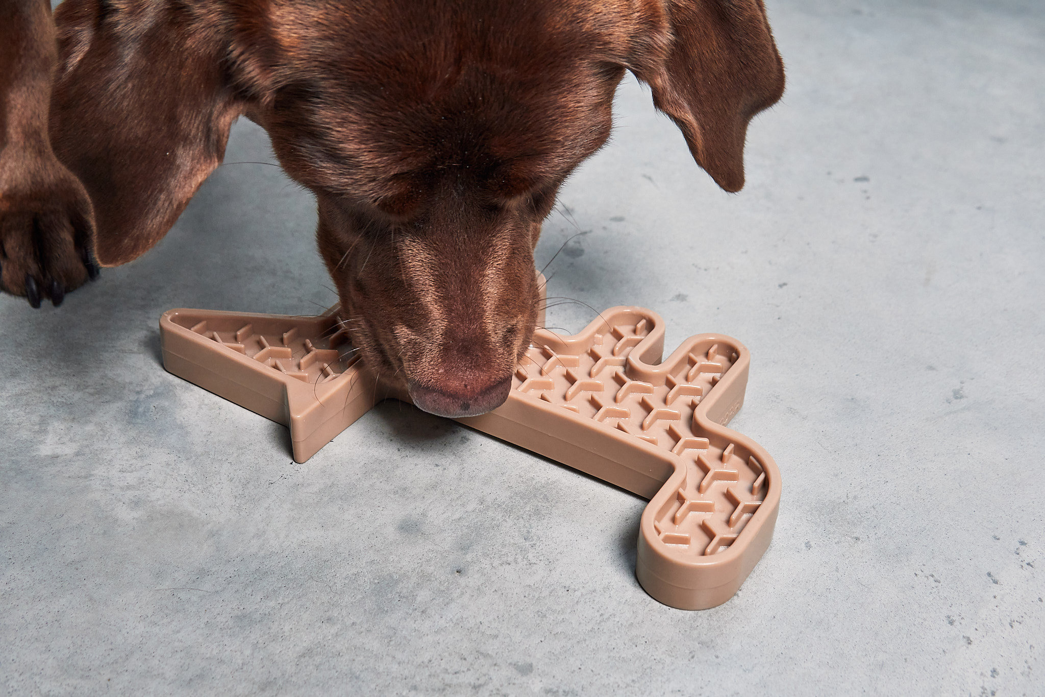 德國MiaCara Volpe雙面慢食器（狐狸）