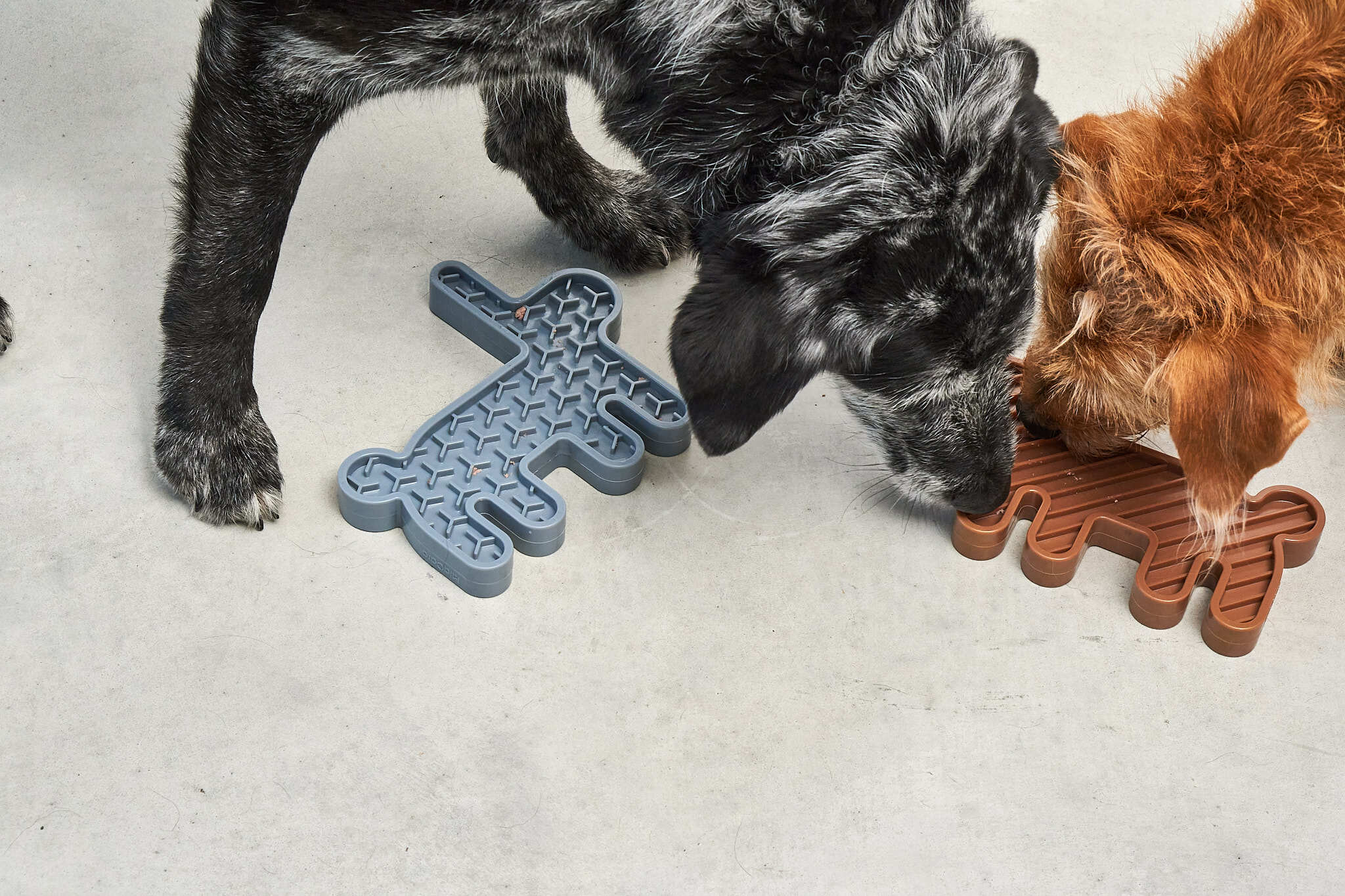 德國MiaCara Lepre雙面慢食器（兔）