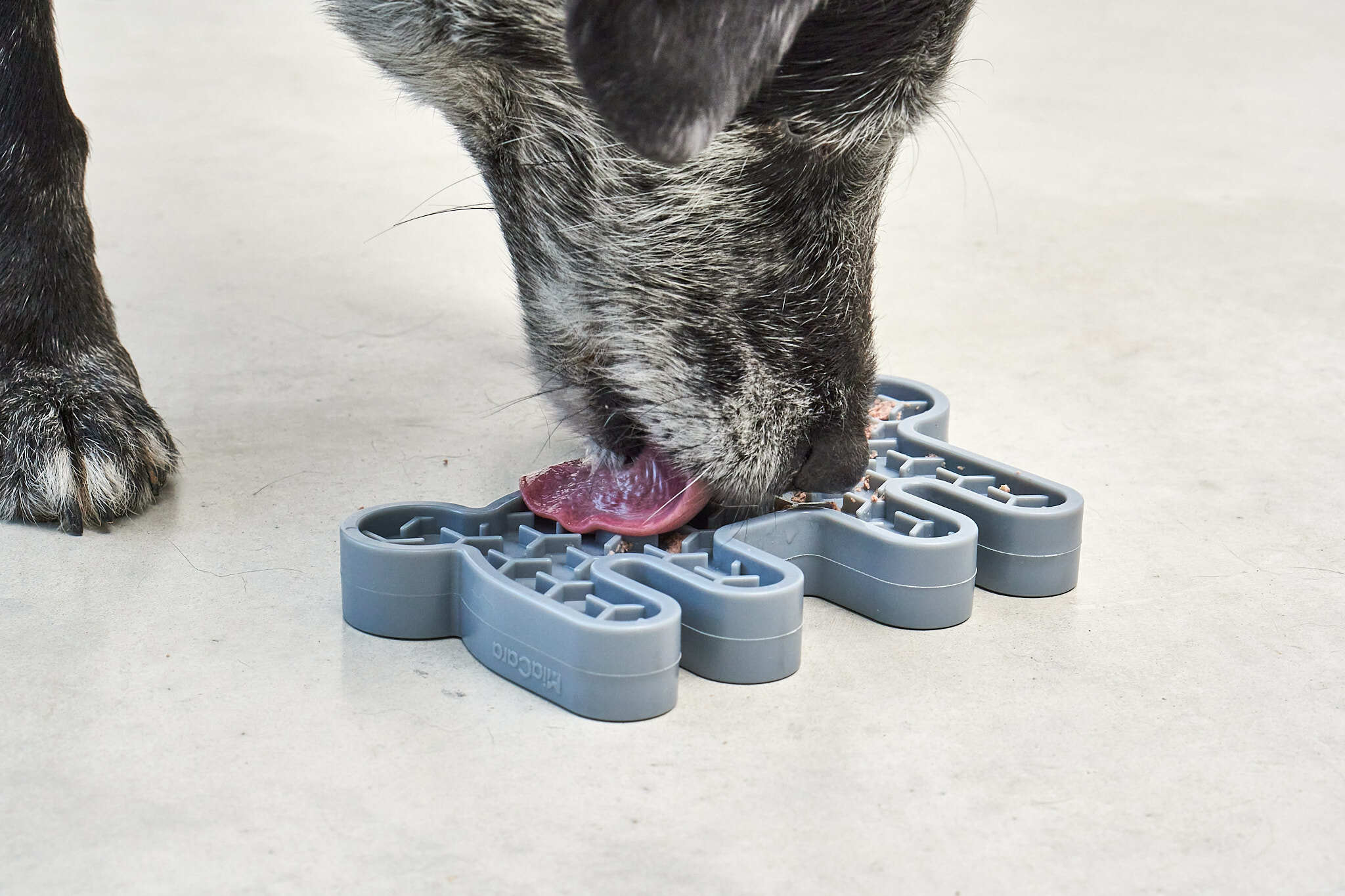 德國MiaCara Lepre雙面慢食器（兔）- 藍