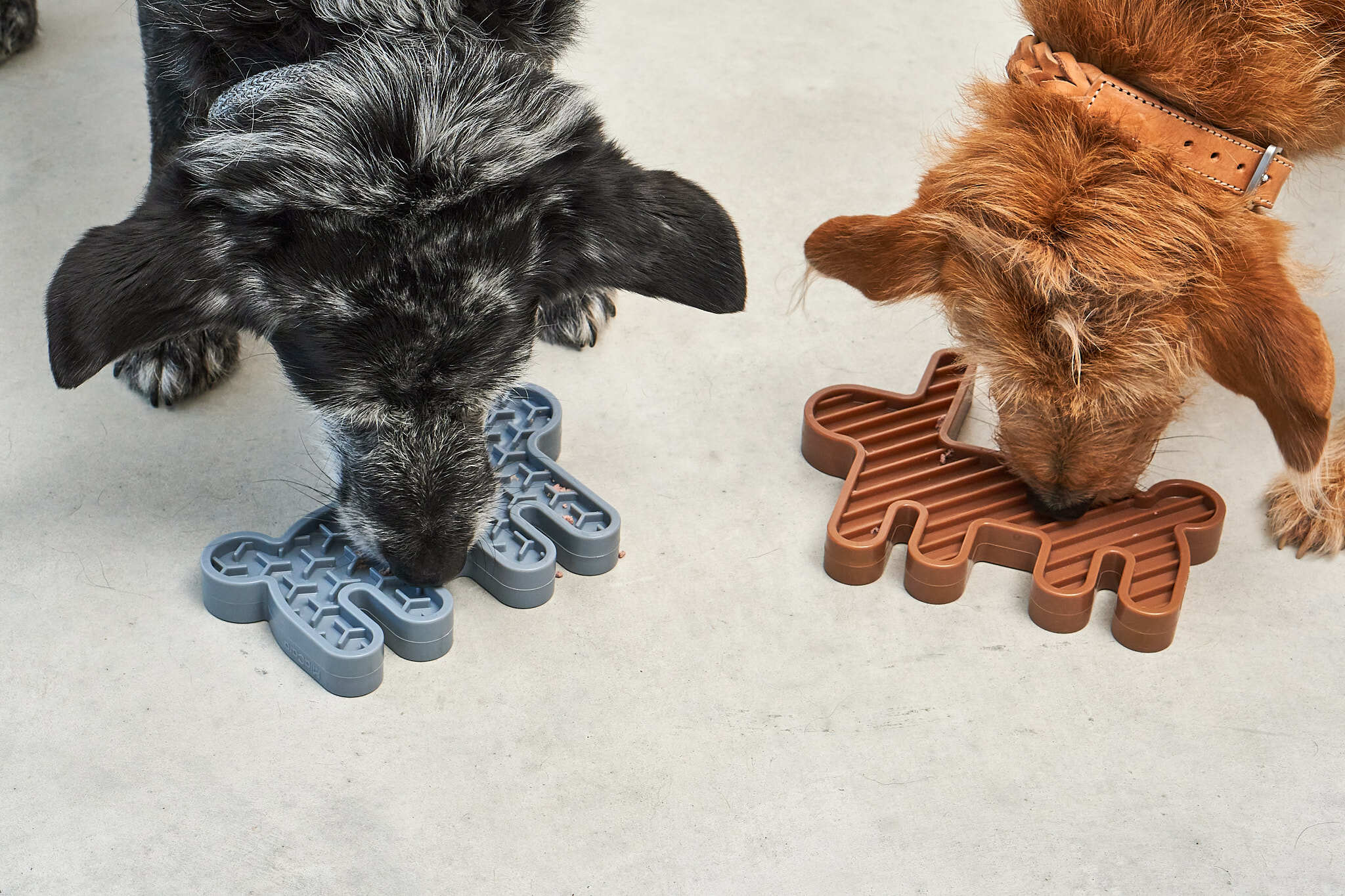 德國MiaCara Lepre雙面慢食器（兔）