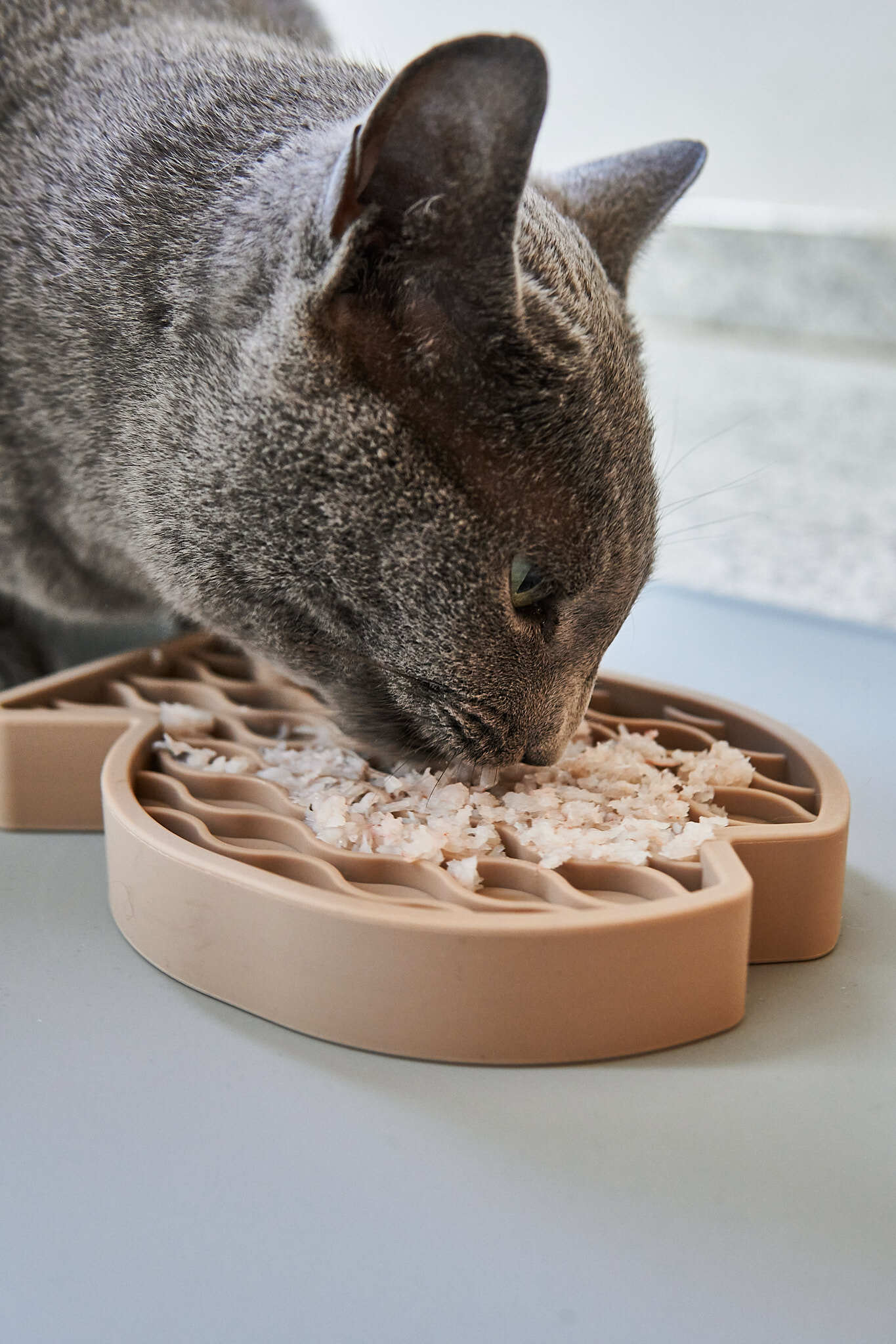 德國MiaCara｜Pesce貓貓慢食器（魚）