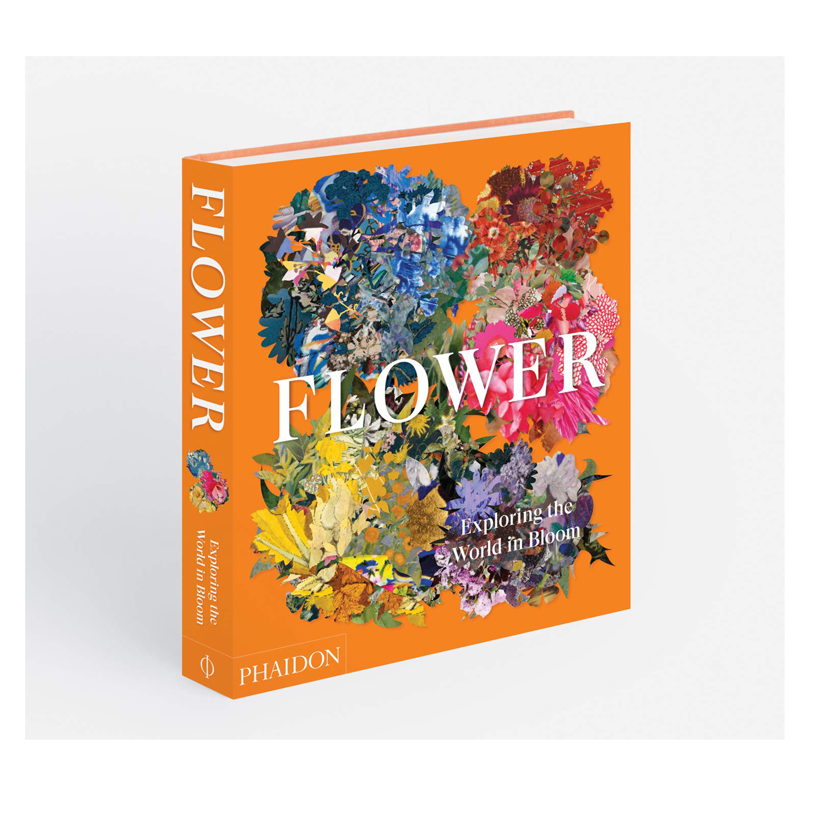 Flower: Exploring the World in Bloom