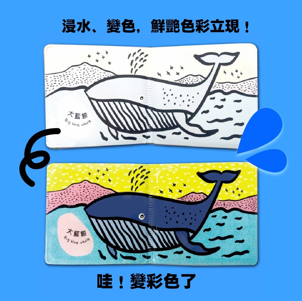 洗澡遊戲書｜海洋大冒險
