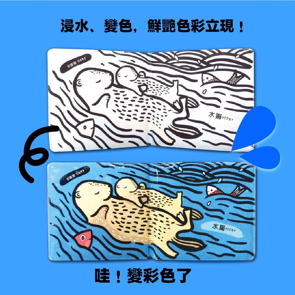 洗澡遊戲書｜水裡躲貓貓