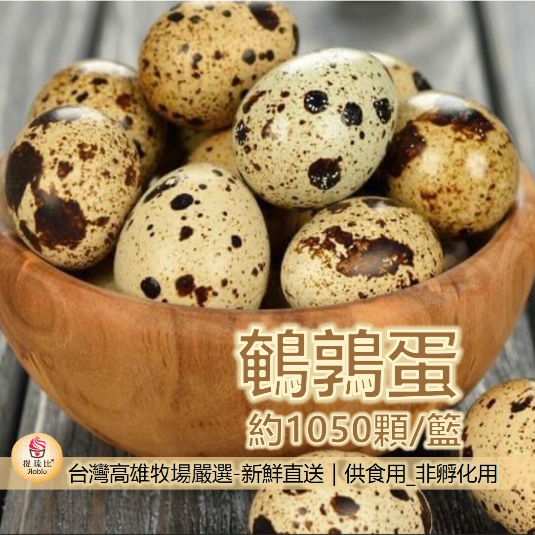 (批發) 特選新鮮鵪鶉蛋、鳥蛋｜牧場直送