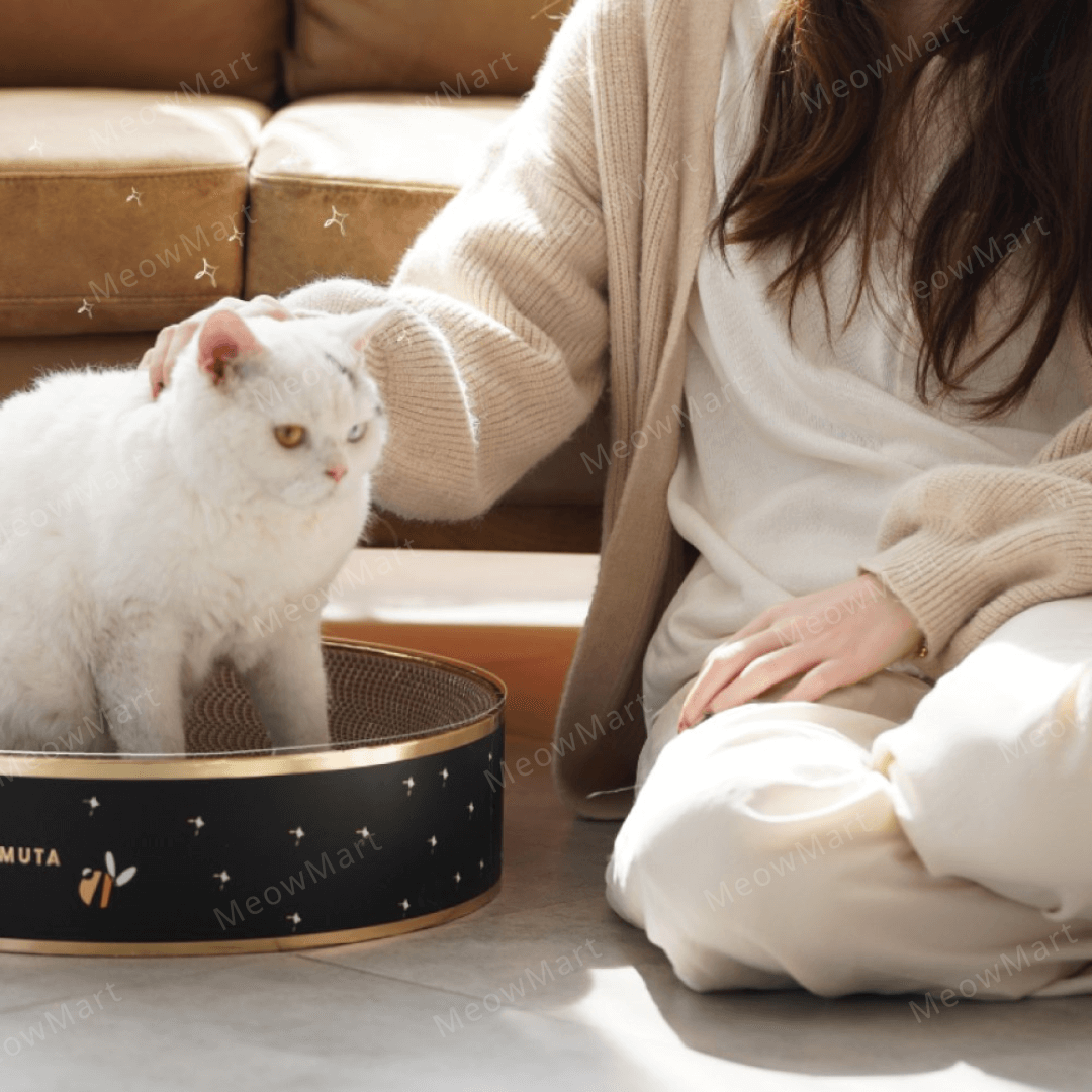 【新品8折】KAMA MUTA 經典燙金貓抓板