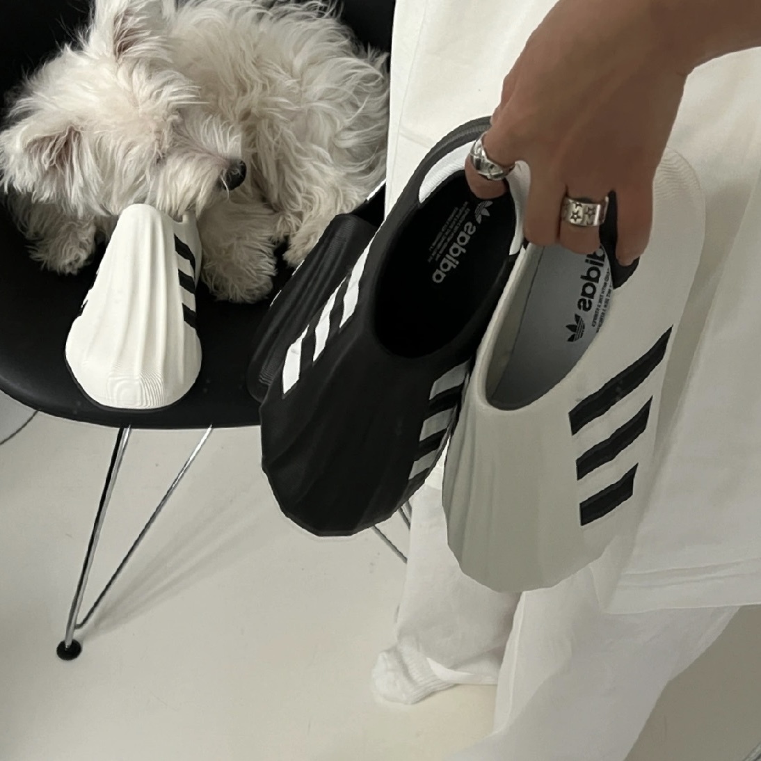 ADIDAS ADIFOM SUPERSTAR 黑 HQ8752 奶油白 HQ8750 貝殼鞋 胖胖鞋 男鞋 / 預購