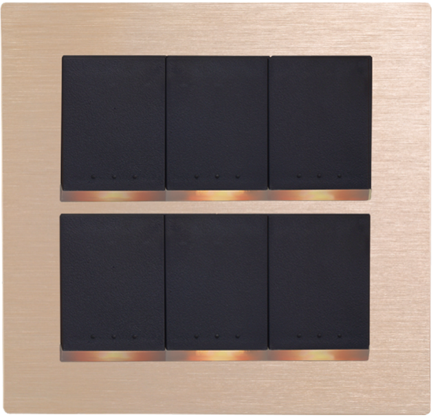 中一 月光系列摩登金－六開關蓋板組 JY-N5652-MRD