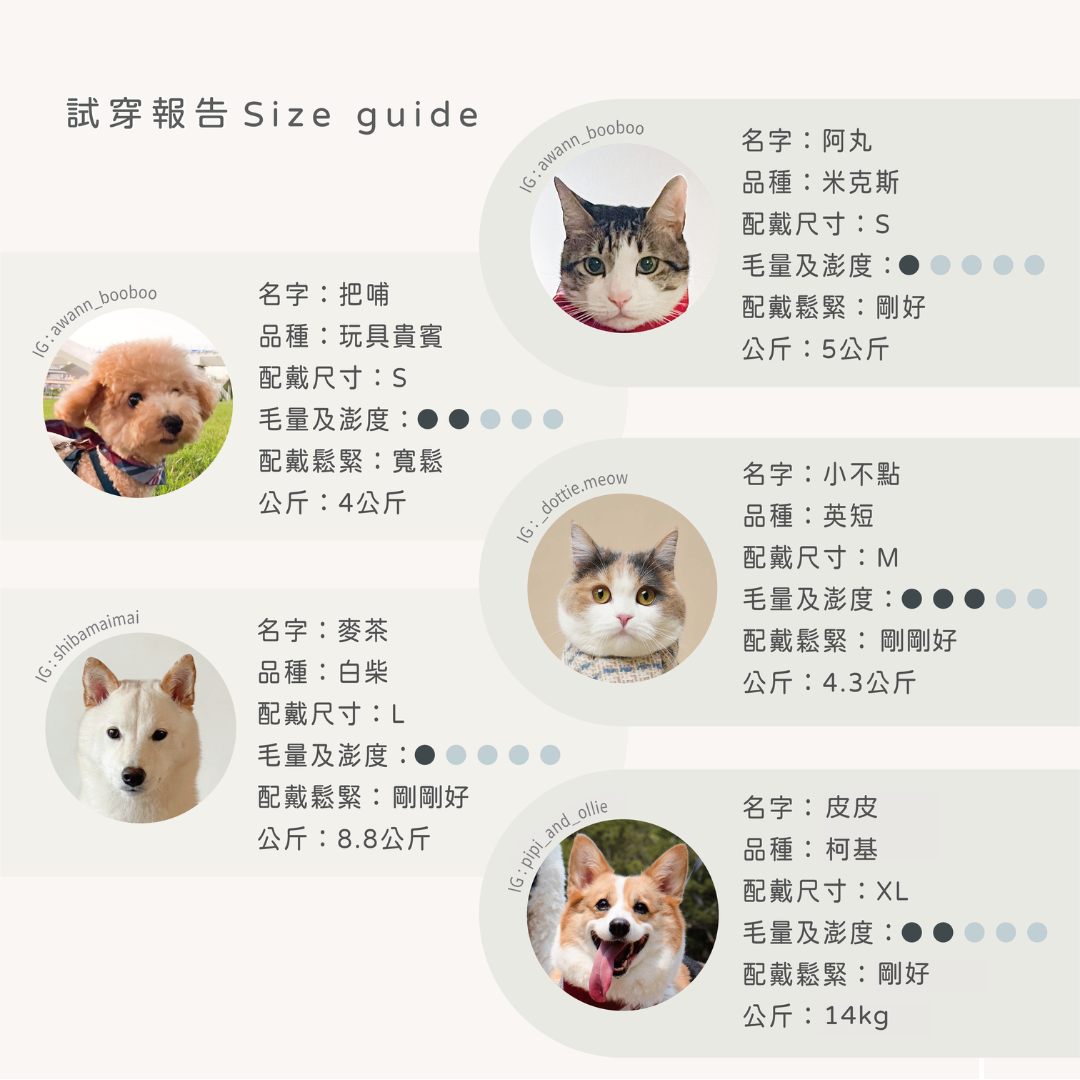 尺寸表