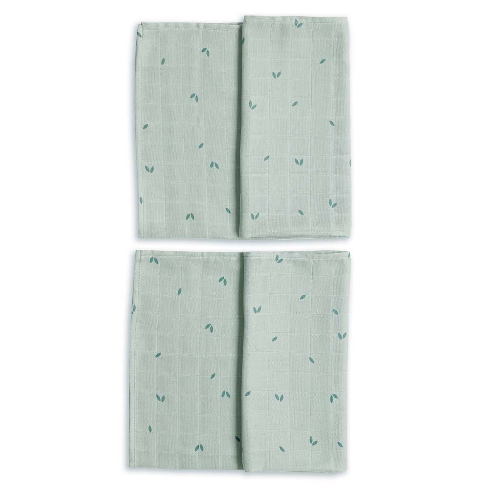 Gloop 有機棉紗布巾兩件組 / 青青小草