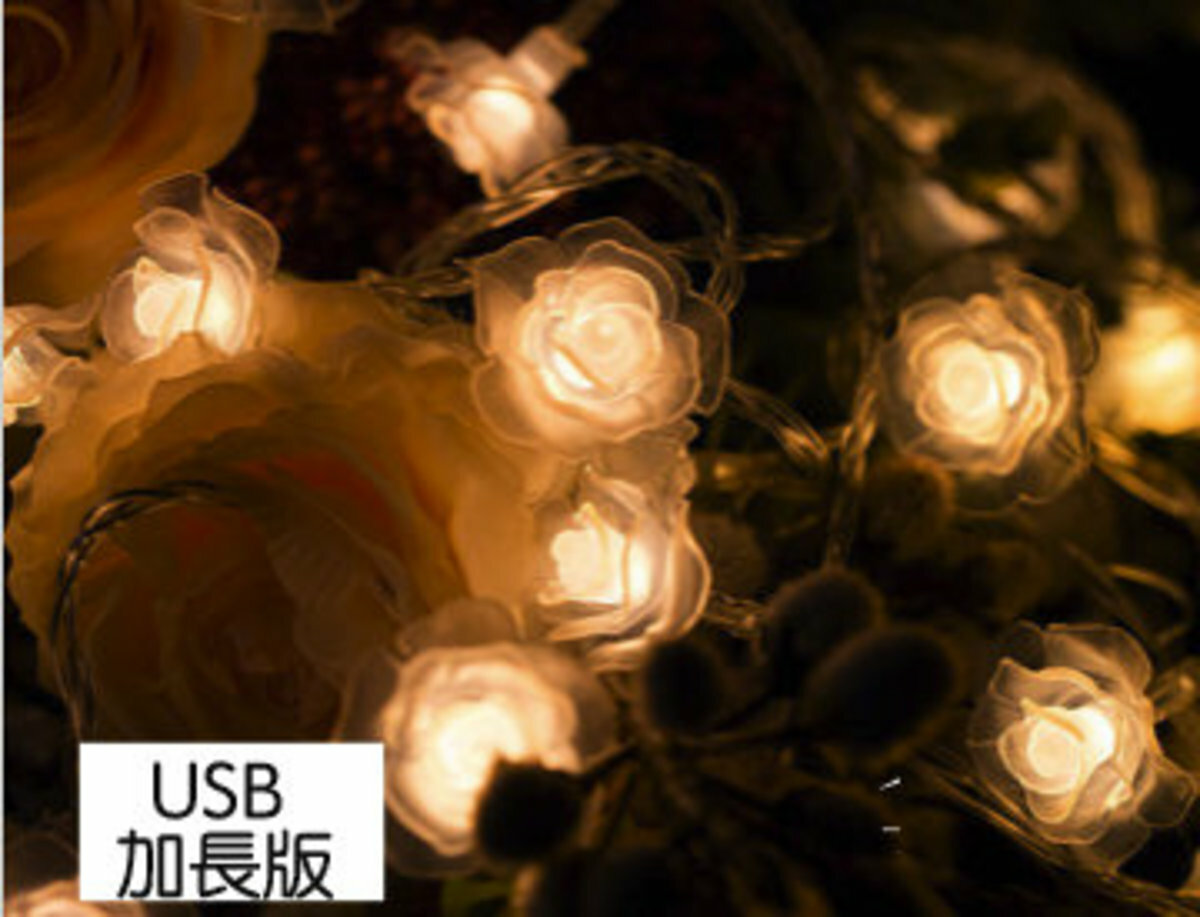 USB加長版6米 LED玫瑰小花燈 求婚佈置花燈 浪漫生日節日花燈 聖誕節日玫瑰花燈 房間佈置裝飾燈 燈串