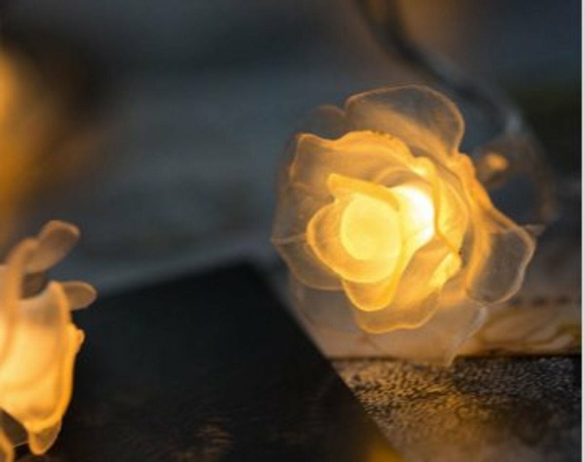 電池款2AA1.5米LED玫瑰小花燈 求婚佈置花燈 浪漫生日節日花燈 聖誕節日玫瑰花燈 房間佈置裝飾燈 燈串