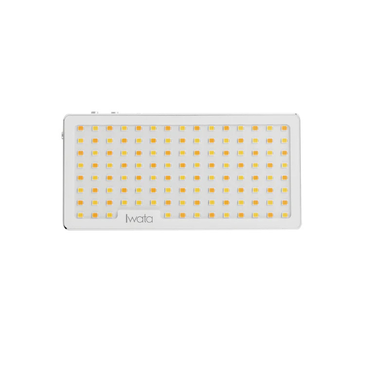 Iwata GL-01 LED 補光燈