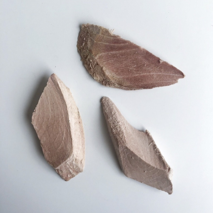 牠說好吃 They Say Good -松阪鰹