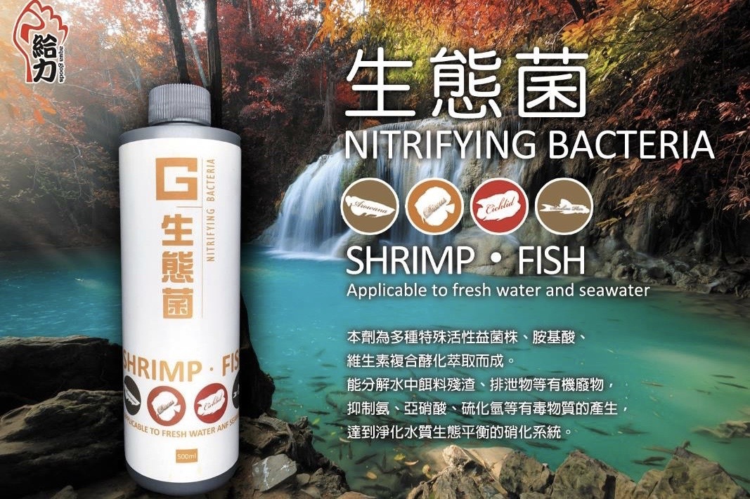 給力 生態菌(500ml)