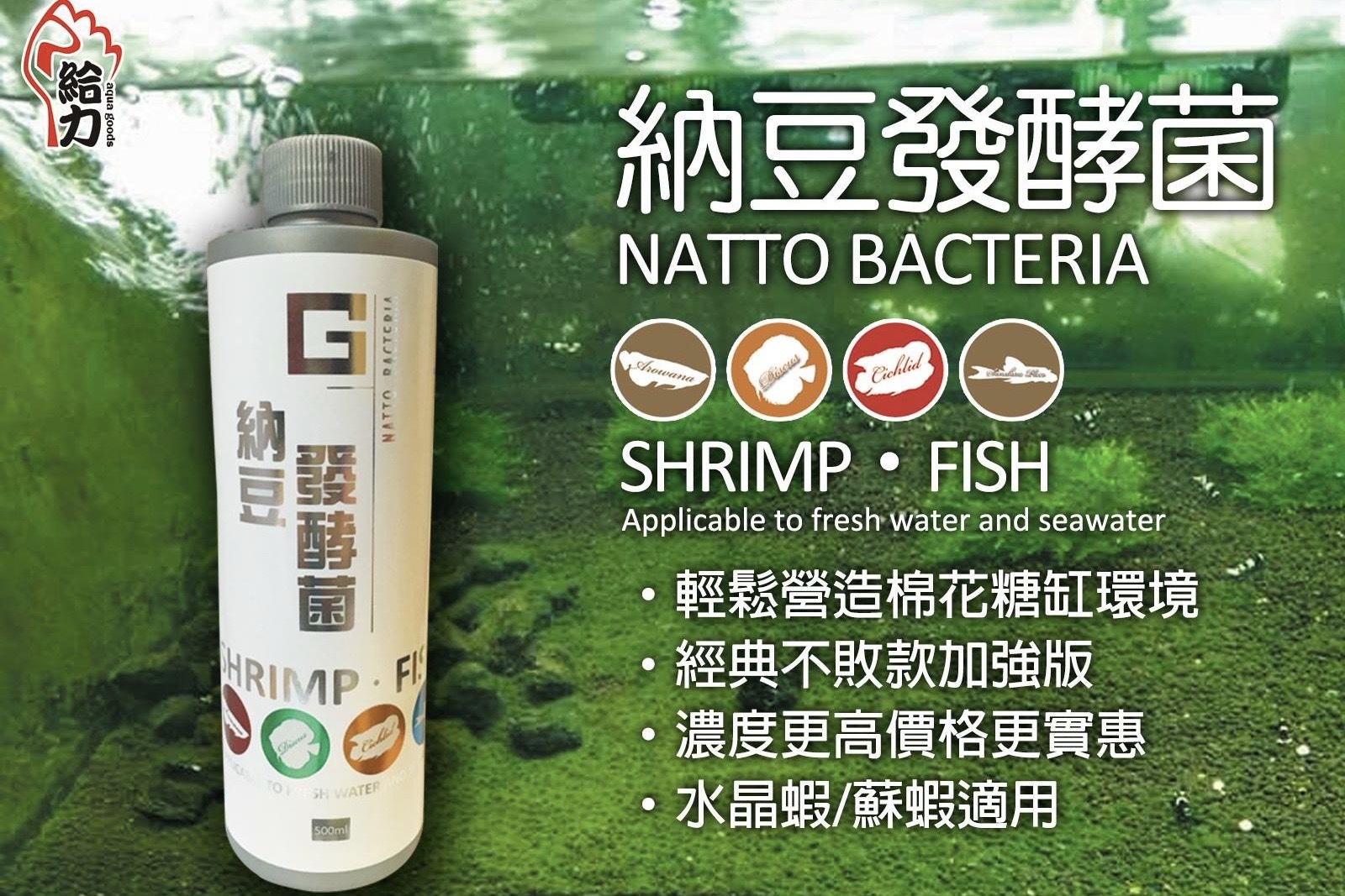 給力 納豆發酵菌(500ml)