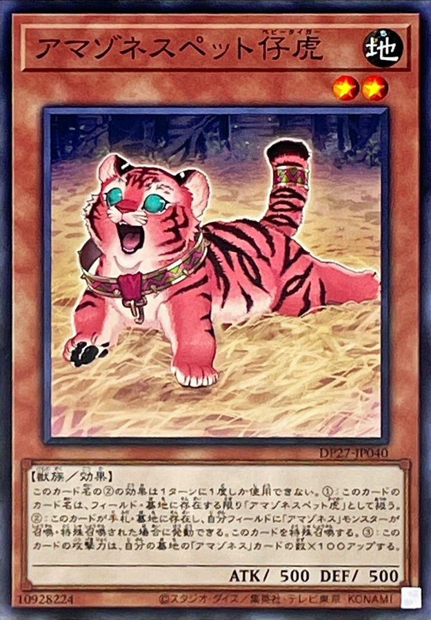 DP27-JP040 アマゾネスペット仔虎