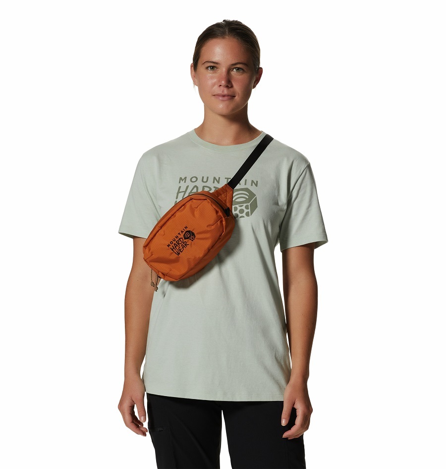 MOUNTAIN HARDWEAR / Field Day™ Hip Pack / 淺桐 (MHW2025371841)