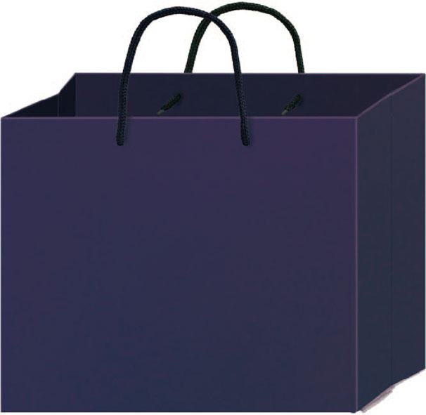 四季紙品 光彩提袋橫1號- 26.5*32*10.5cm【BD11003】