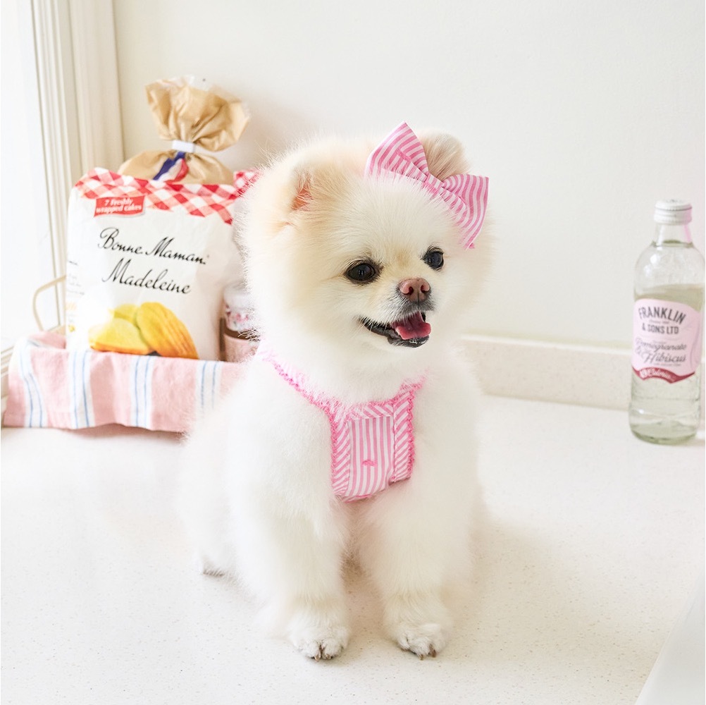 Noutti 雲朵短版上衣