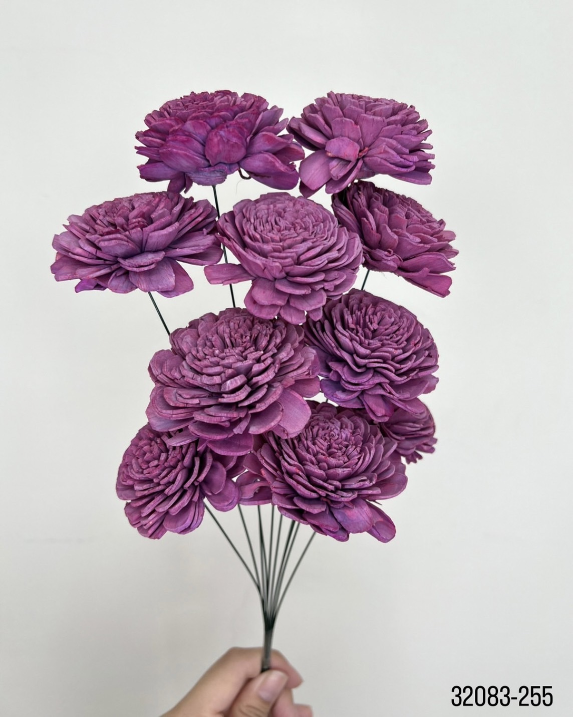 索拉玫瑰花(6cm) 32083-255