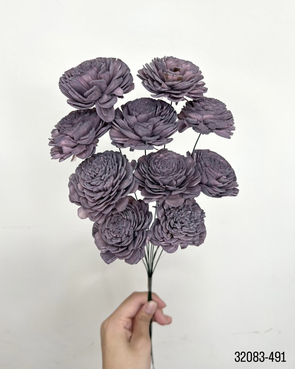 索拉玫瑰花 (6cm)  32083-495