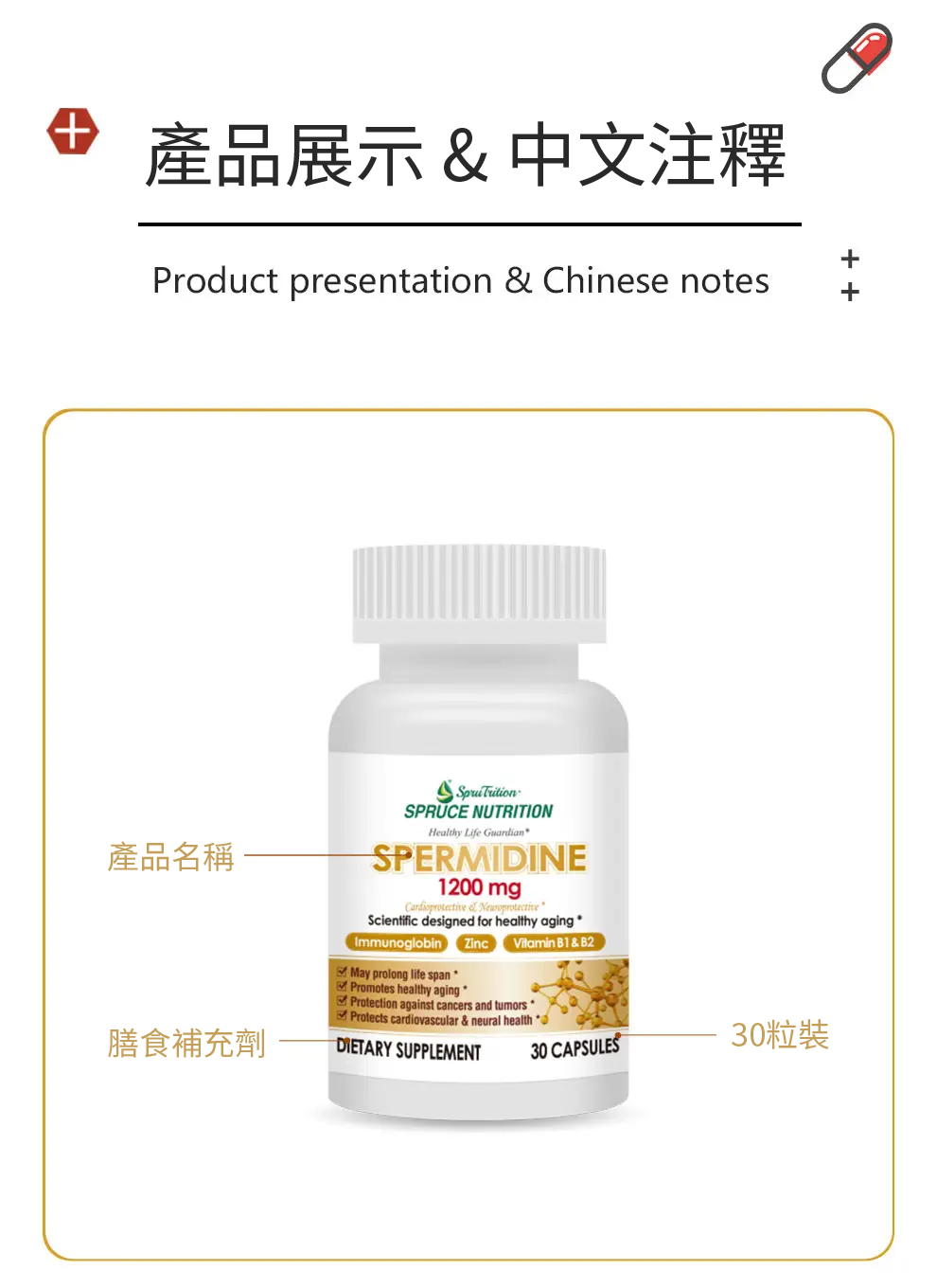 【 Spruce Nutrition 】五重配方 亞精胺｜SPERMIDINE｜30 粒裝（美國原裝行貨）