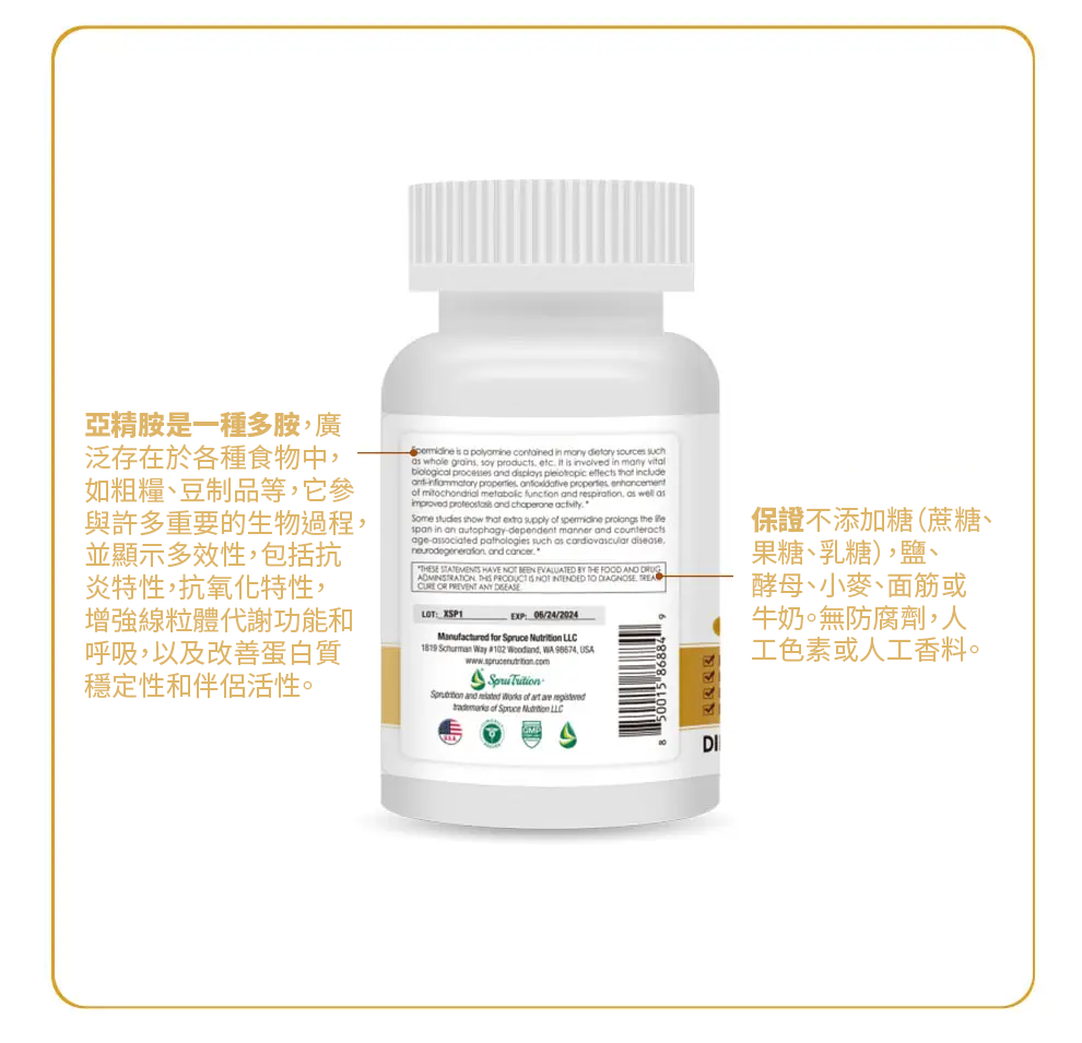 【 Spruce Nutrition 】五重配方 亞精胺｜SPERMIDINE｜30 粒裝（美國原裝行貨）