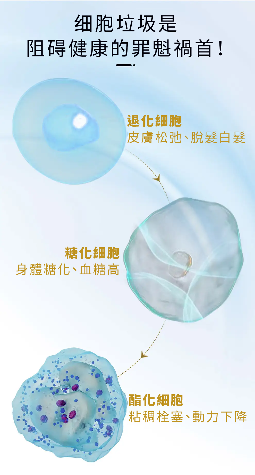 【 Spruce Nutrition 】五重配方 亞精胺｜SPERMIDINE｜30 粒裝（美國原裝行貨）