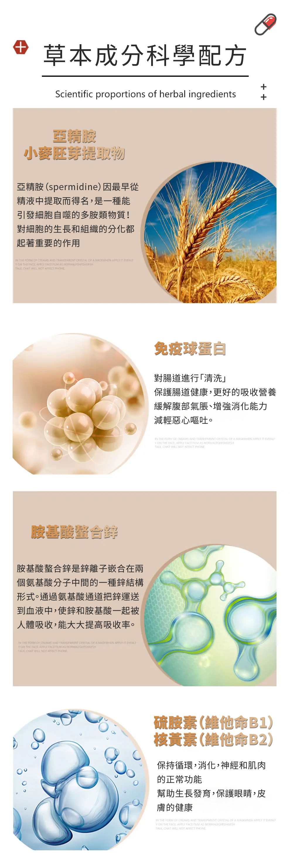 【 Spruce Nutrition 】五重配方 亞精胺｜SPERMIDINE｜30 粒裝（美國原裝行貨）