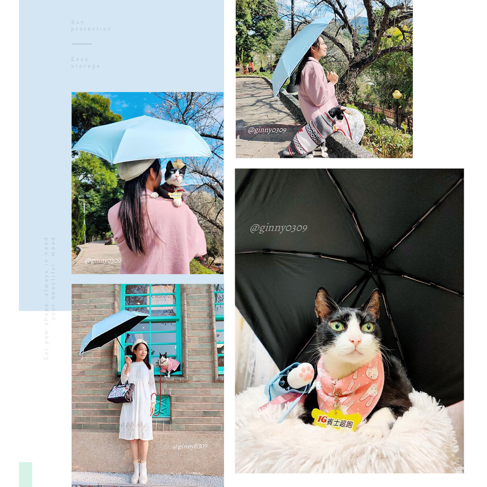 網紅分享,分享文,網紅愛用傘推薦