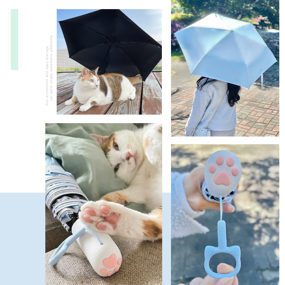 網紅分享,分享文,網紅愛用傘推薦