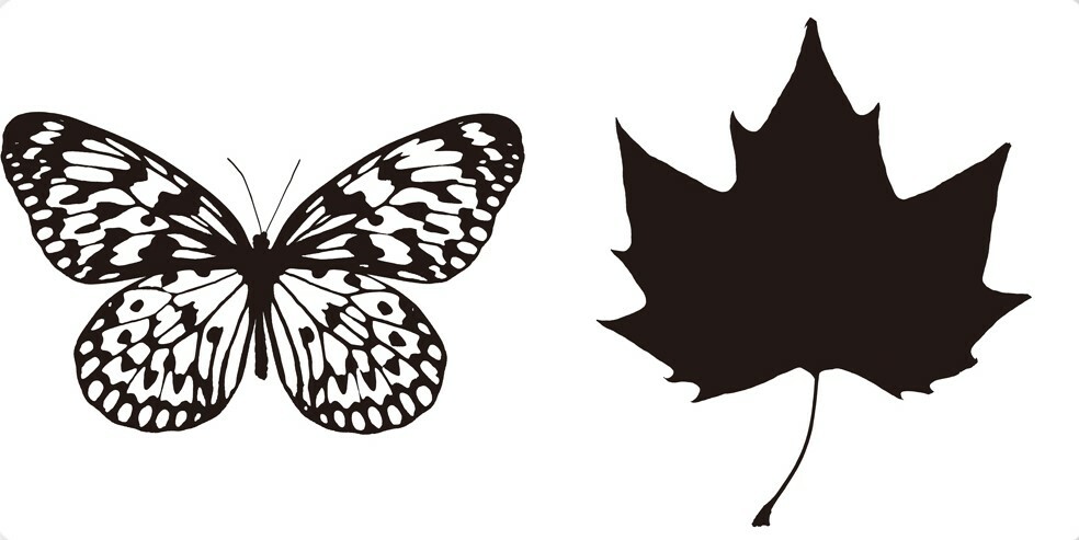 送給小寶寶的視覺感官書《黑看白》+《白看黑》