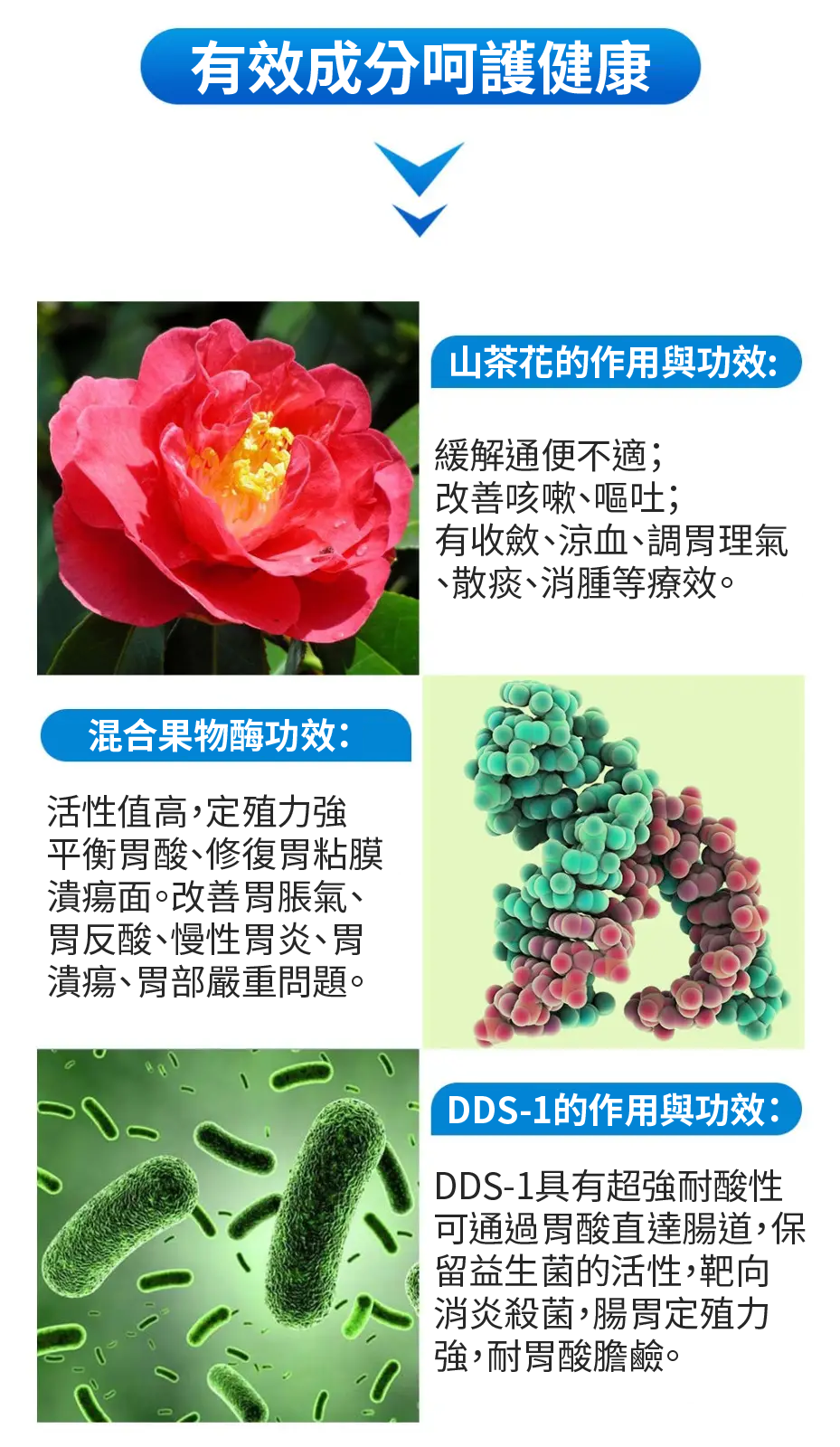 【 Spruce Nutrition 】10 + 12 配方 強效綜合益生菌｜Digestive Health｜14 包裝（美國原裝行貨）