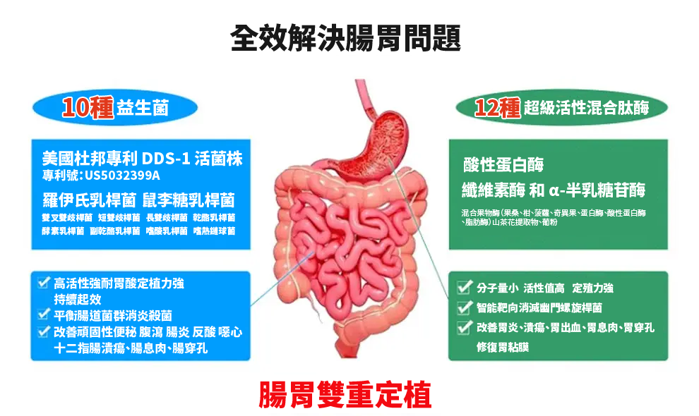 【 Spruce Nutrition 】10 + 12 配方 強效綜合益生菌｜Digestive Health｜14 包裝（美國原裝行貨）