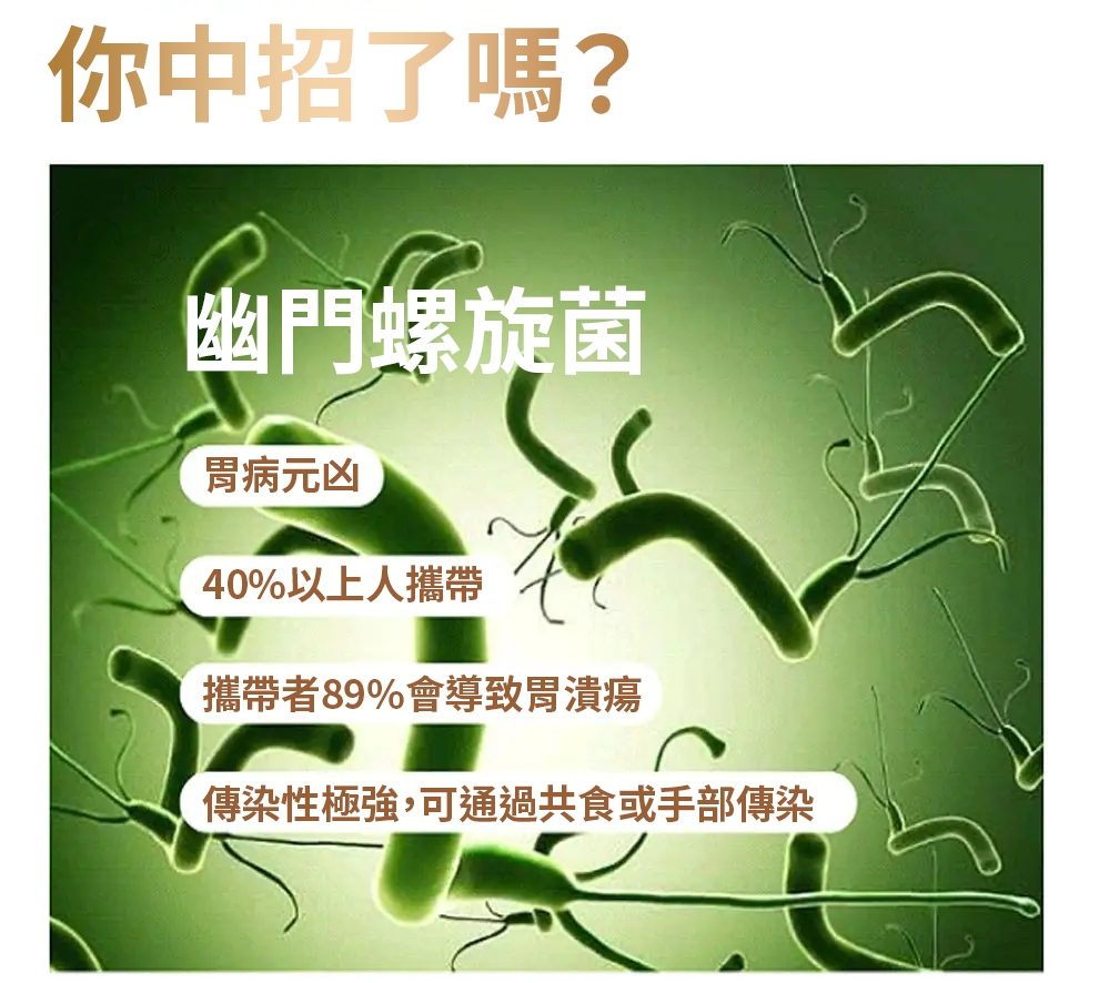 【 Spruce Nutrition 】10 + 12 配方 強效綜合益生菌｜Digestive Health｜14 包裝（美國原裝行貨）