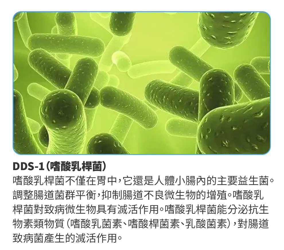 【 Spruce Nutrition 】10 + 12 配方 強效綜合益生菌｜Digestive Health｜14 包裝（美國原裝行貨）