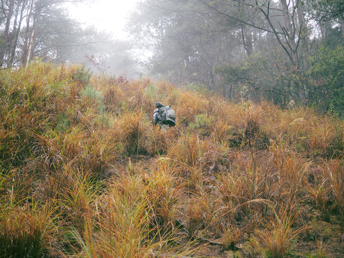 大劍山,hanchor,百岳,縱走,登山,健行