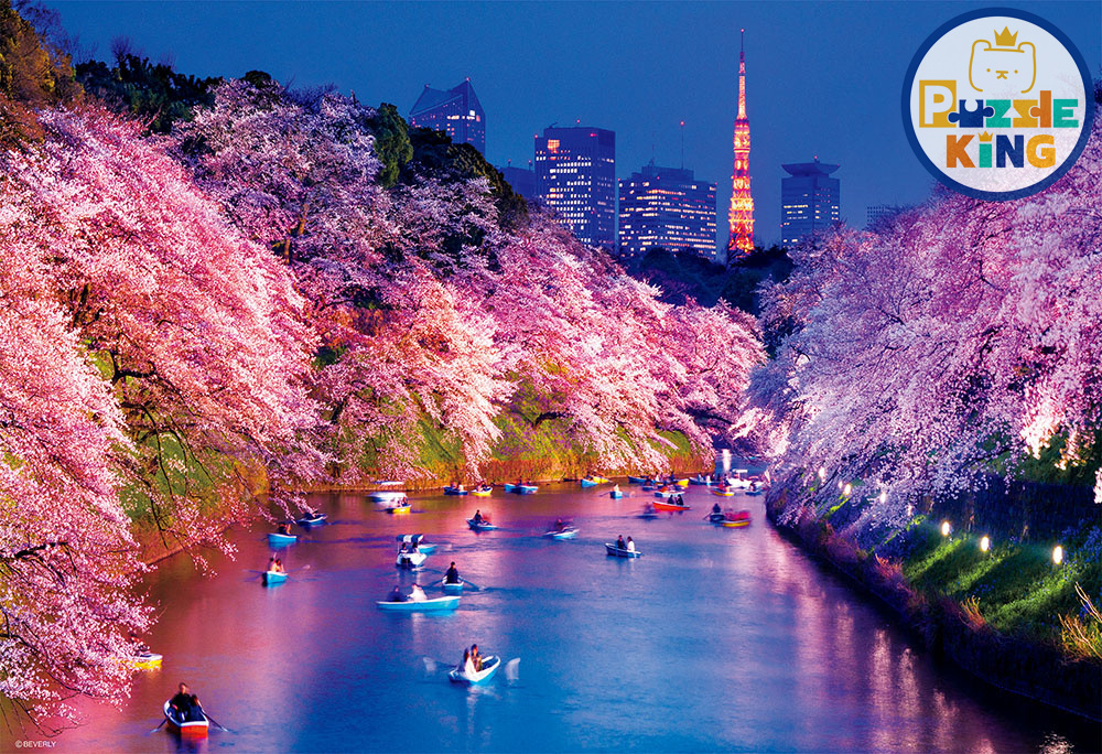 日本風景-千鳥淵的夜櫻花