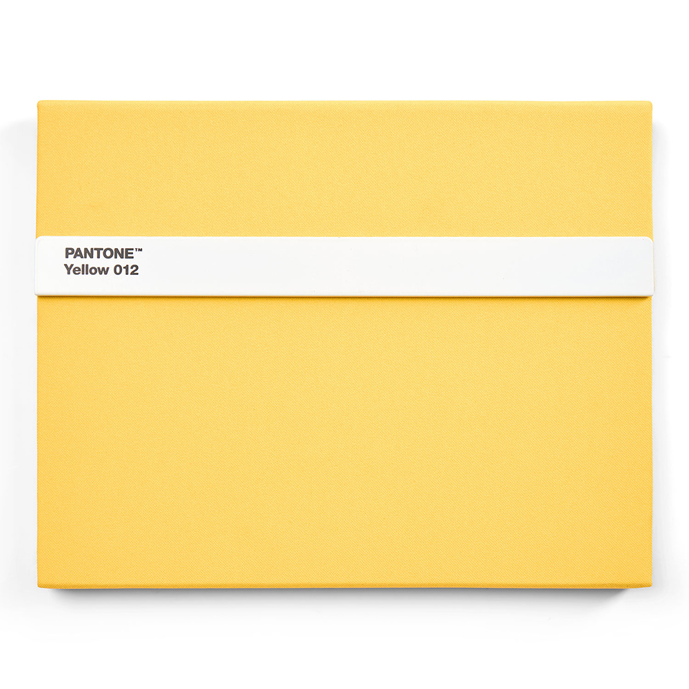 PANTONE 彩通 線條商務筆記本