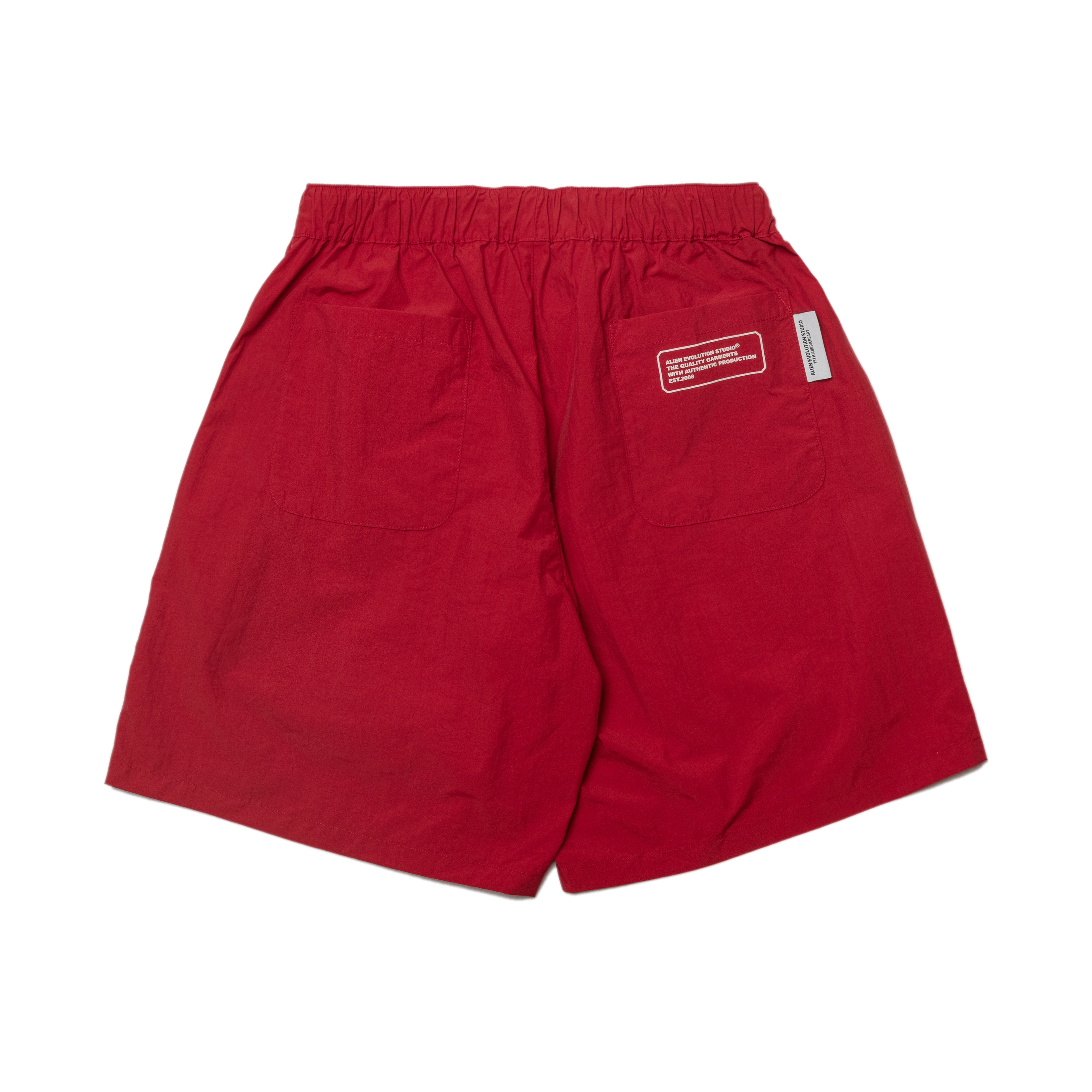 AES CLASSIC LOGO BOARD SHORTS