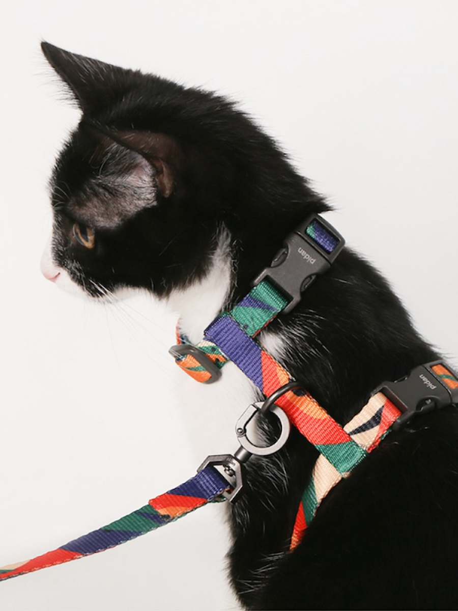 【pidan】貓用牽繩｜組合款