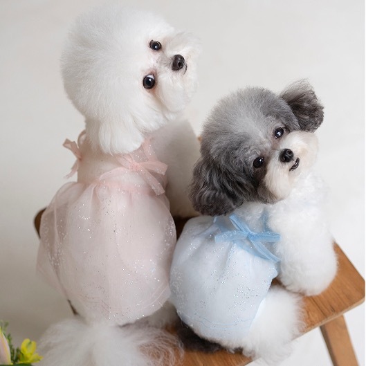 OPAAAP 銀河星月小洋裝