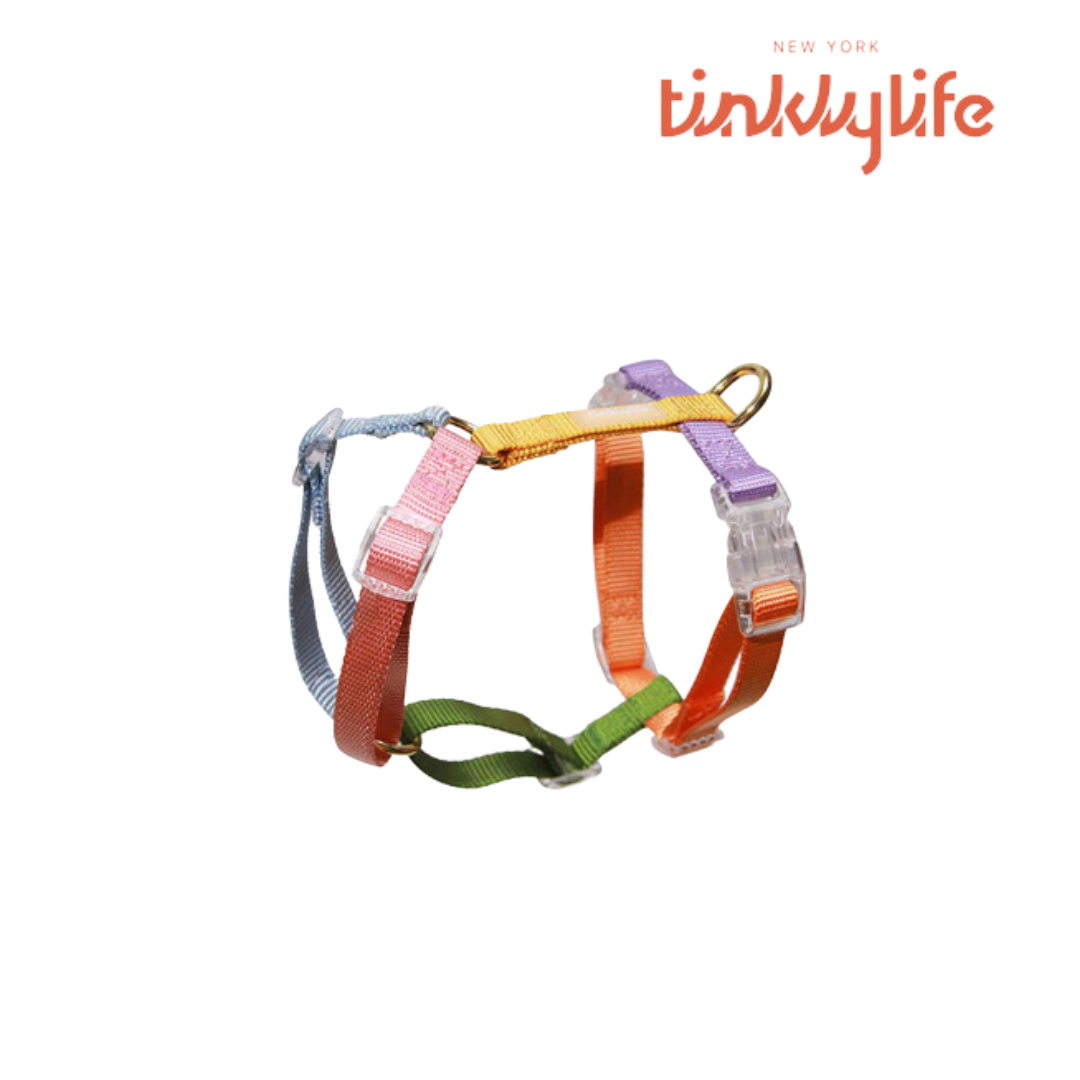 Tinklylife彩虹胸背帶