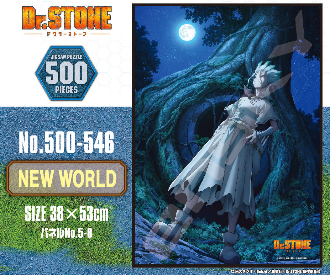 「ACG.GO」「預購」Dr.STONE NEW WORLD 500塊拼圖