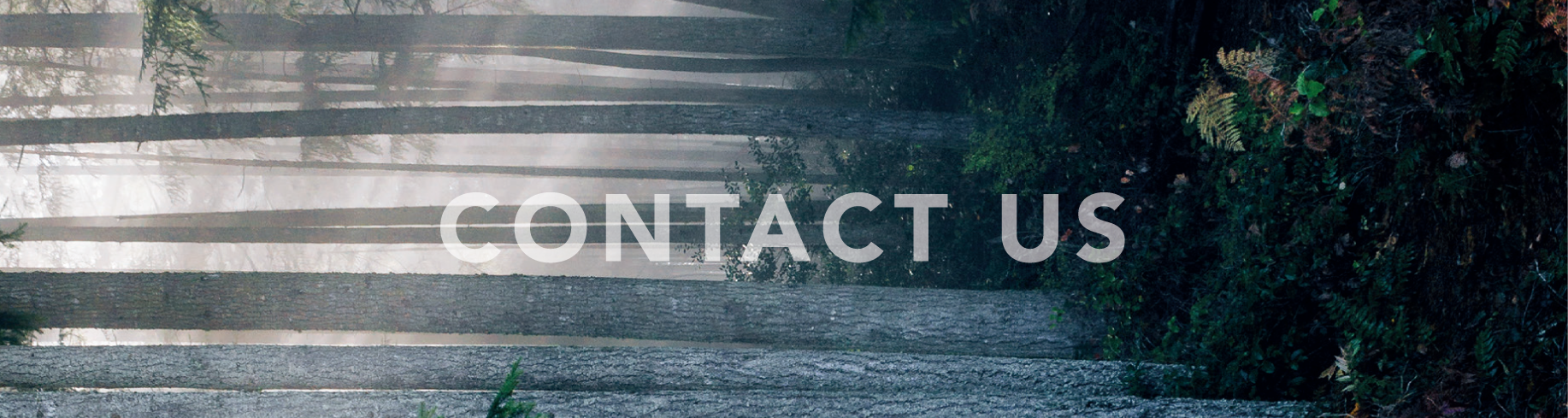 聯絡我們 Contact us